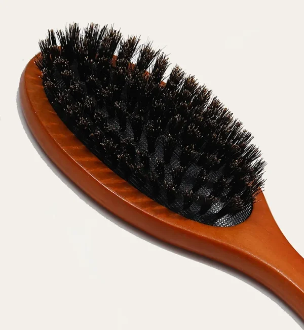 bristle hairbrush